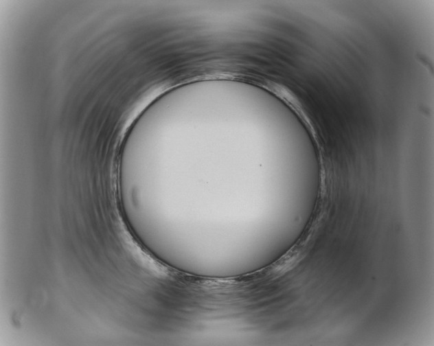 X0000103140859200808221103