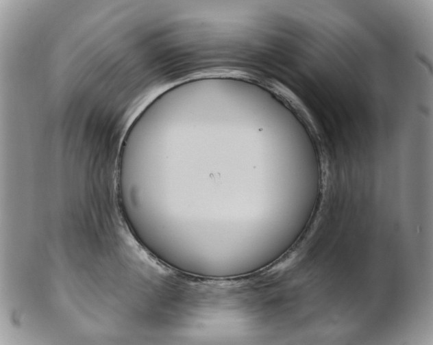 X0000103140860200808221103