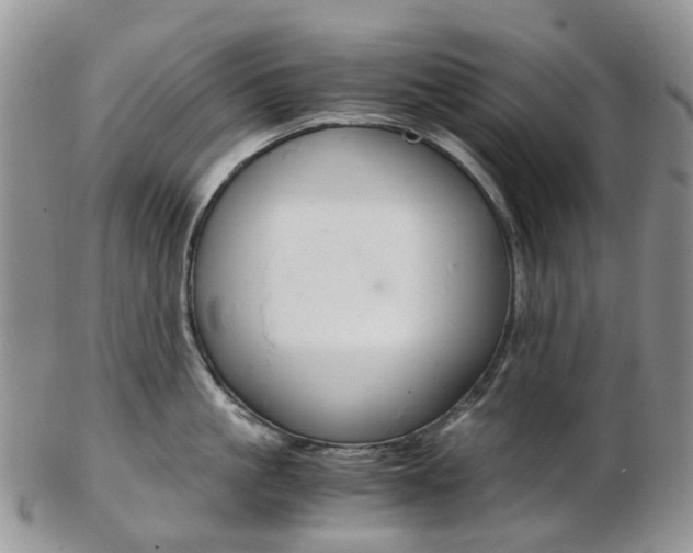 X0000103140861200808221103