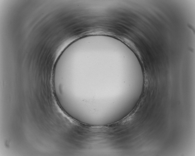 X0000103140863200808221103