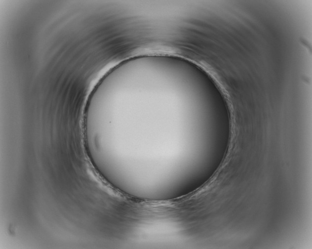 X0000103140864200808221103