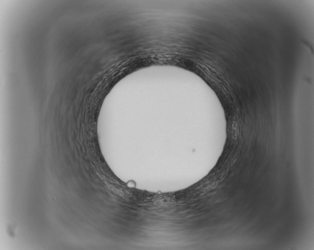 X0000103140865200808221102