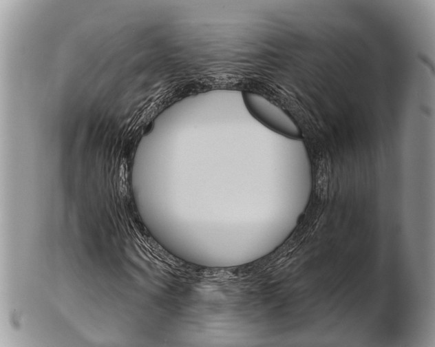 X0000103140866200808221102