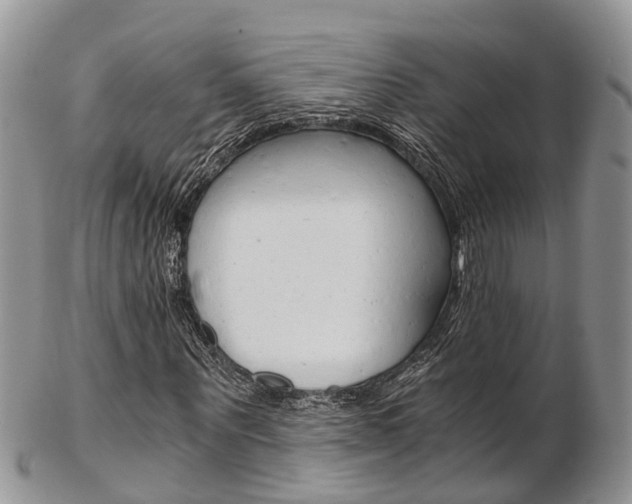 X0000103140867200808221102