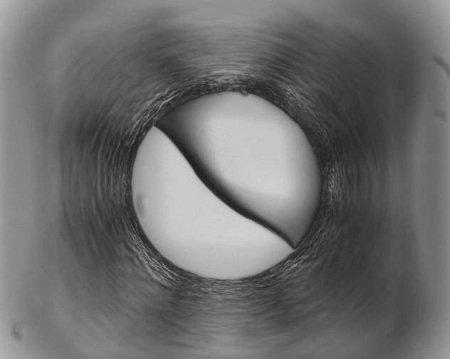 X0000103140868200808221102