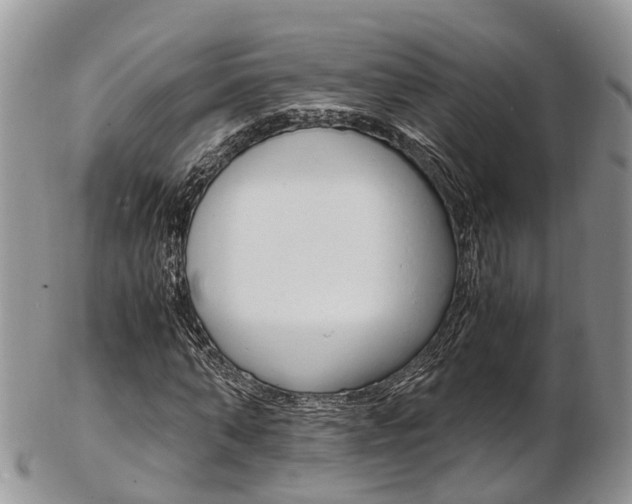 X0000103140870200808221102