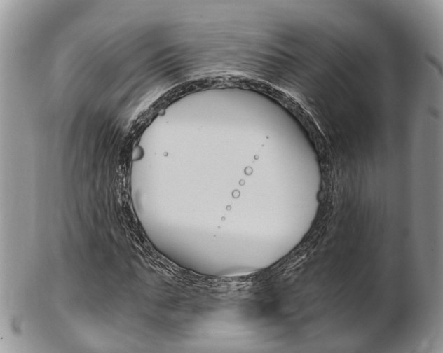 X0000103140871200808221102