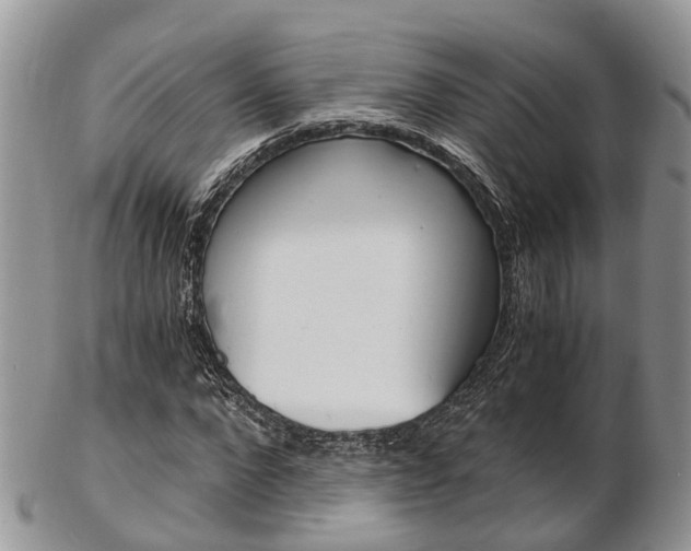 X0000103140872200808221102