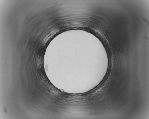X0000103140873200808221102