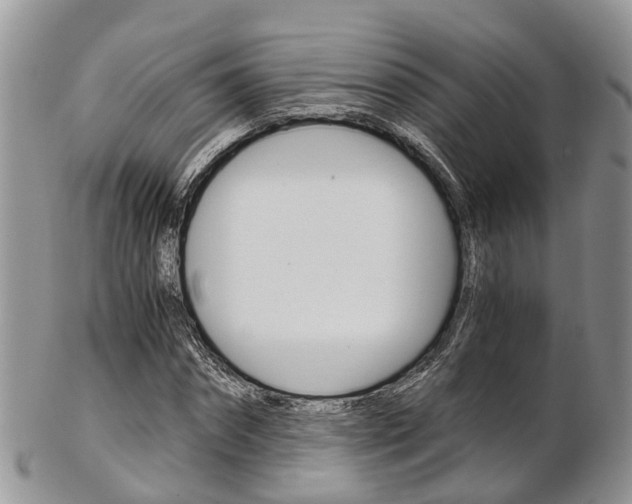 X0000103140874200808221102