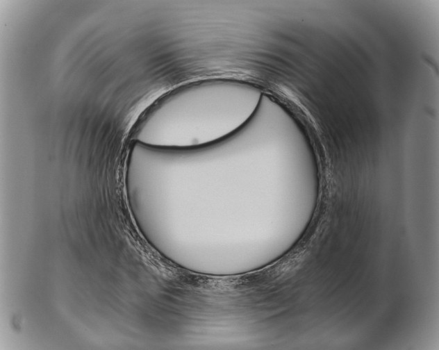 X0000103140875200808221102