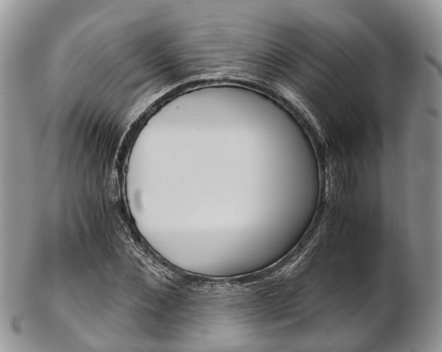 X0000103140876200808221102