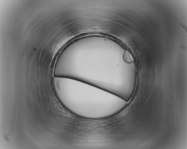 X0000103140879200808221102