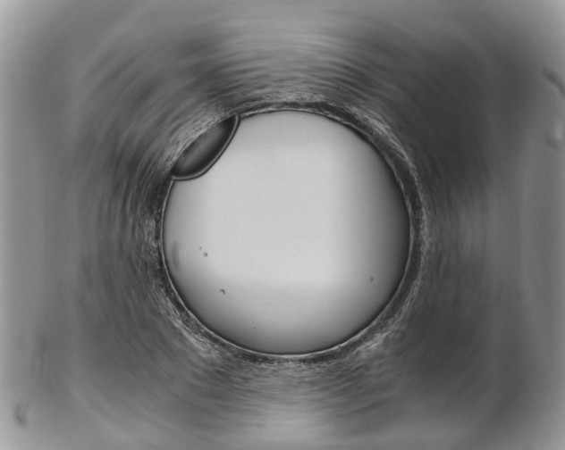X0000103140881200808221102