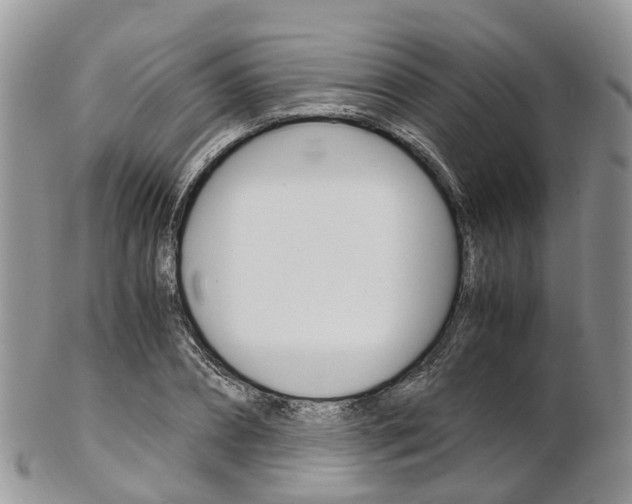 X0000103140882200808221102