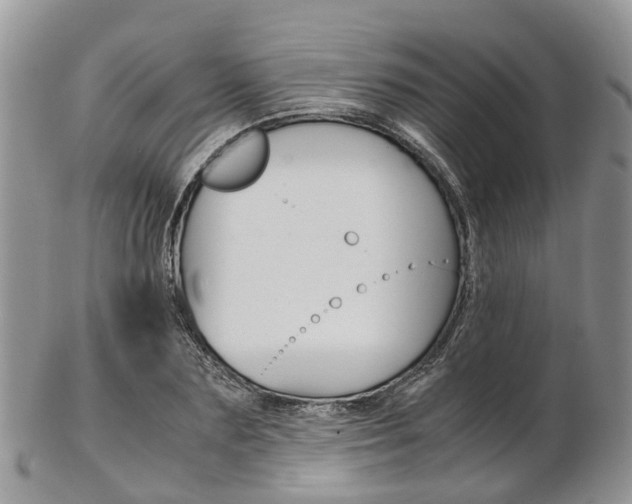 X0000103140883200808221102