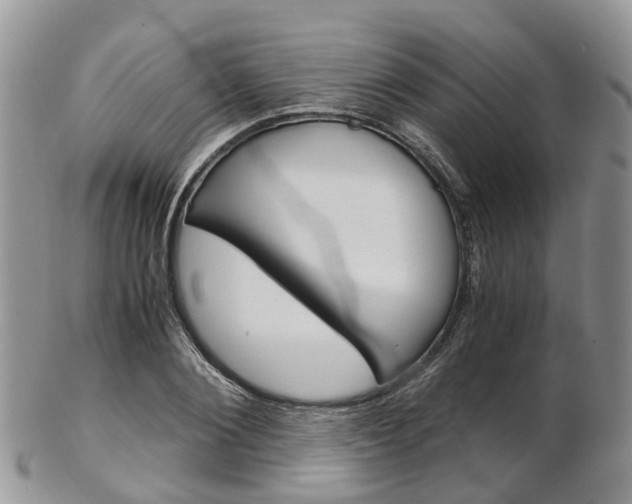 X0000103140884200808221102