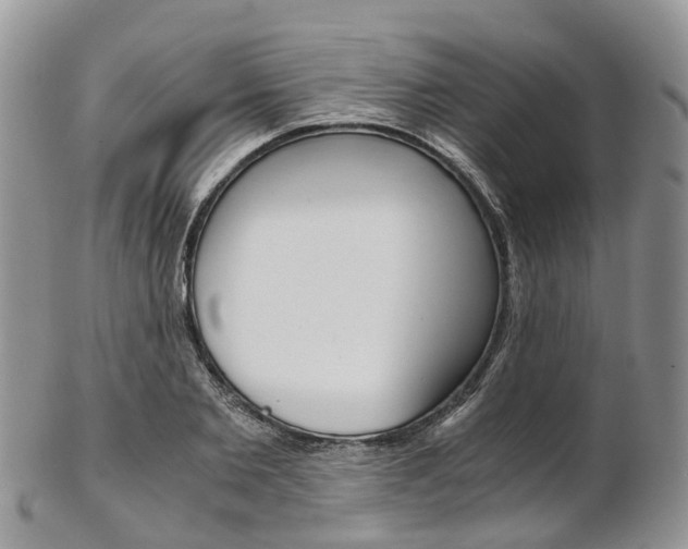 X0000103140885200808221102