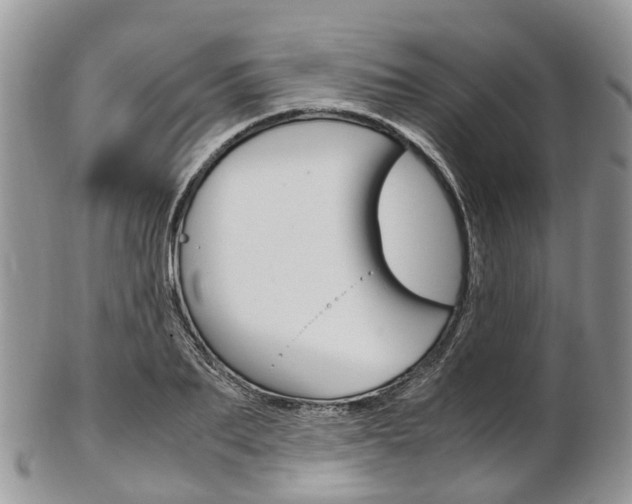 X0000103140887200808221102