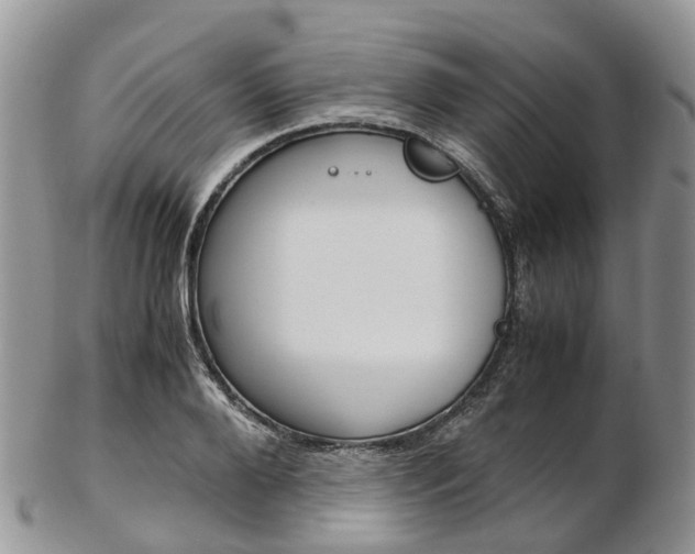X0000103140888200808221102