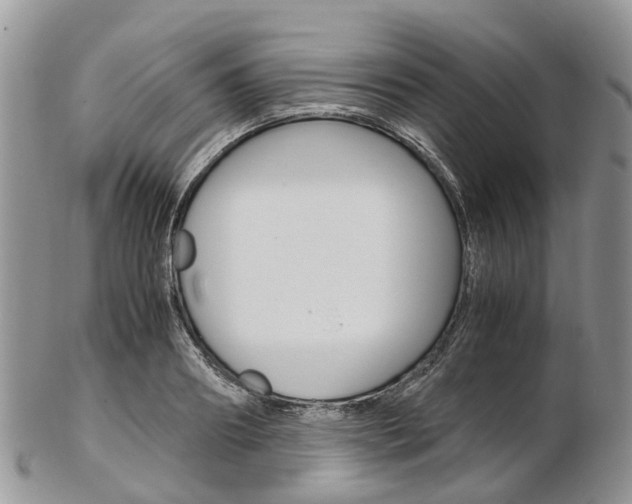 X0000103140890200808221102