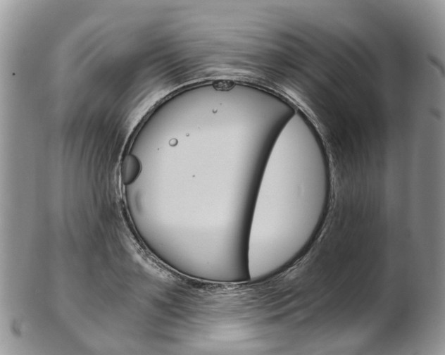 X0000103140891200808221102
