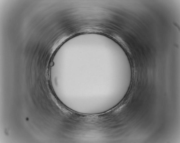 X0000103140893200808221102