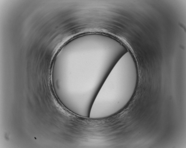 X0000103140895200808221102