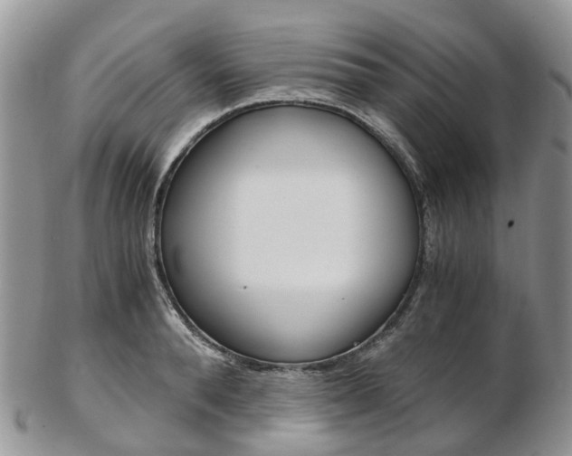 X0000103140896200808221102