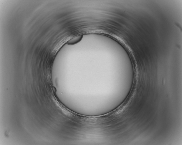 X0000103140897200808221102