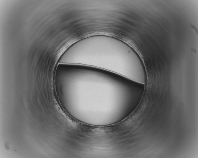 X0000103140898200808221102