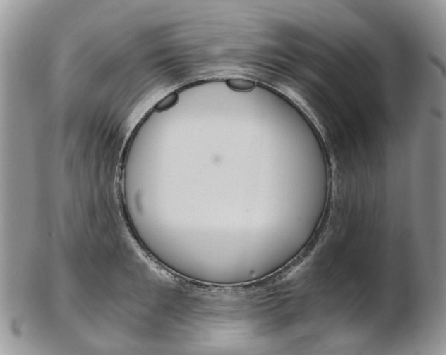 X0000103140901200808221102