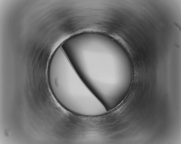X0000103140902200808221102