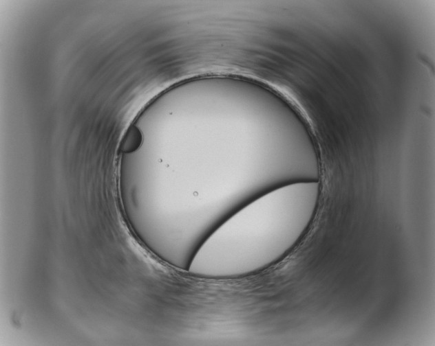 X0000103140903200808221102