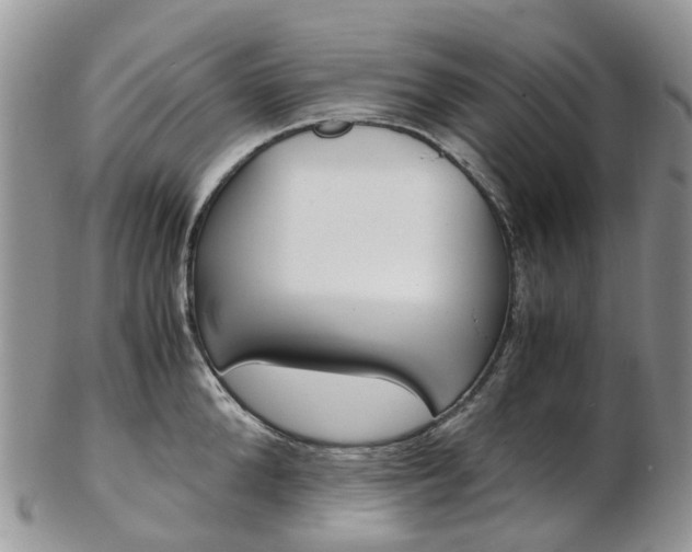 X0000103140904200808221102