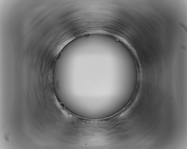 X0000103140905200808221101