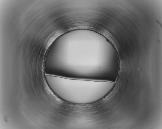 X0000103140906200808221101