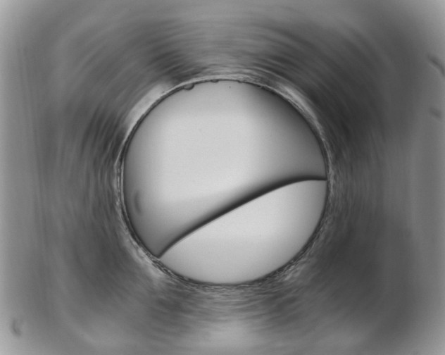 X0000103140907200808221101
