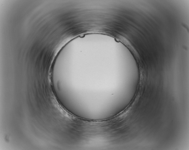 X0000103140908200808221101