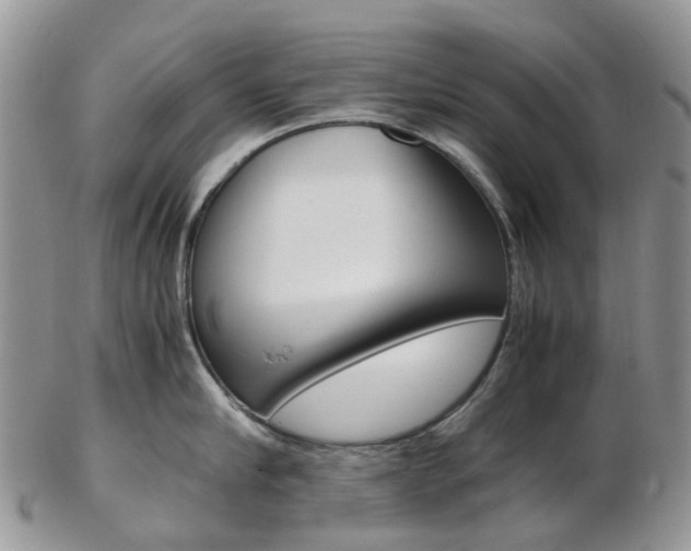 X0000103140910200808221101
