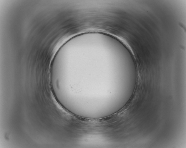 X0000103140911200808221101