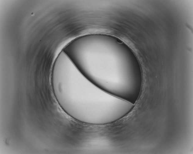 X0000103140912200808221101