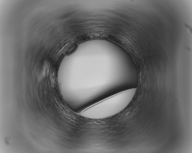 X0000103140915200808221101