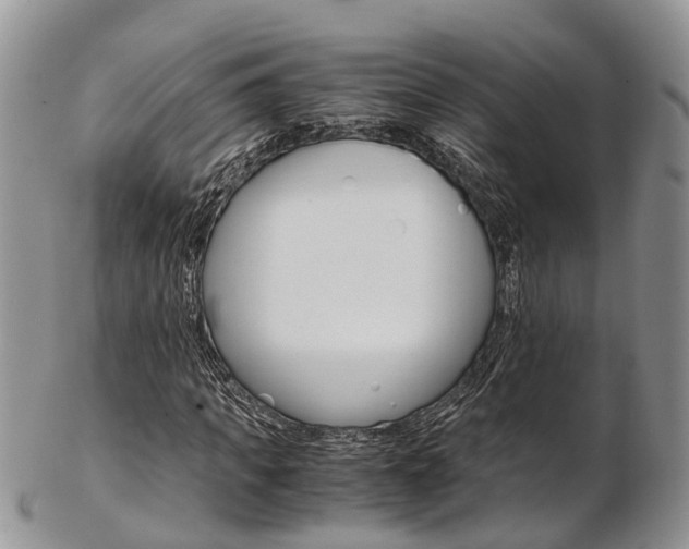 X0000103140917200808221101