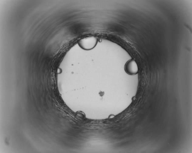 X0000103140918200808221101