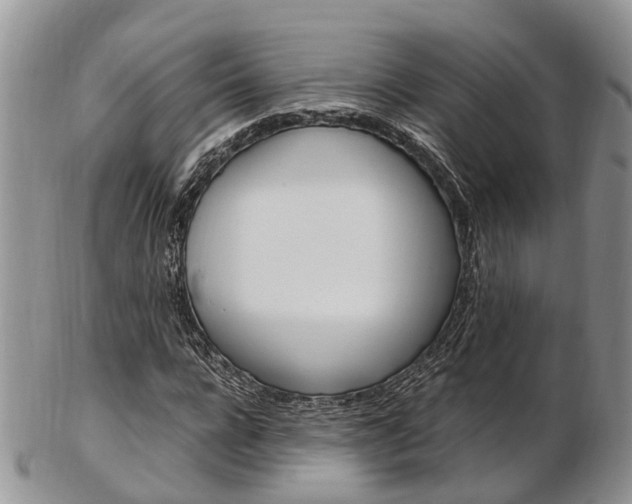 X0000103140920200808221101