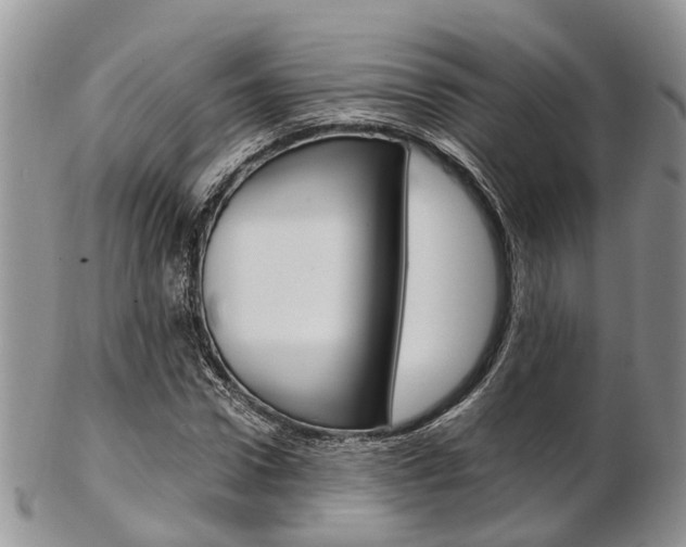 X0000103140922200808221101