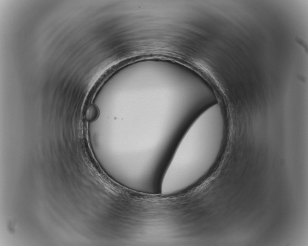 X0000103140924200808221101