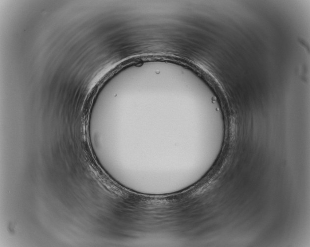 X0000103140925200808221101