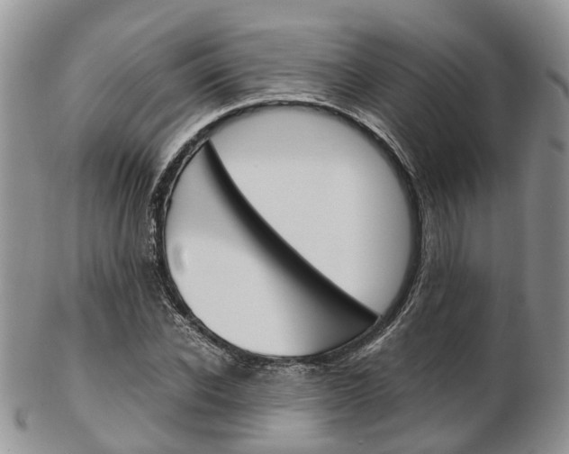 X0000103140926200808221101